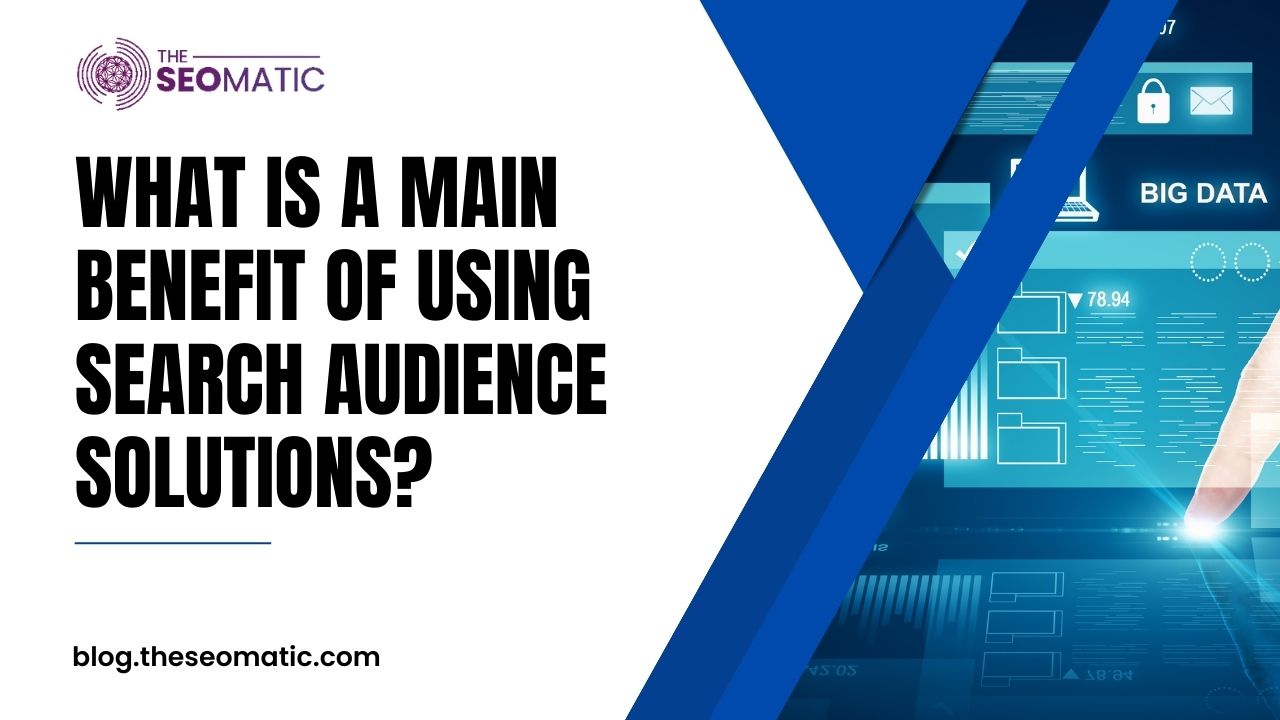 What Is the Main Benefit of Using Search Audience Solutions?